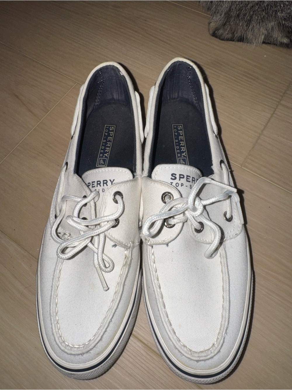 Sperry White Canvas Boat Shoes